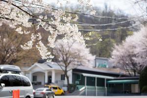   교회 둘러보기(평강의 봄)