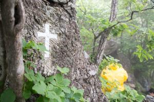  청년2부(그루터기선교회)'장안산 구국기도회'