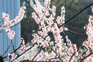  토요일 교회 둘러보기
