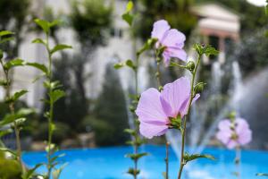  하계대성회 첫째날 둘러보기