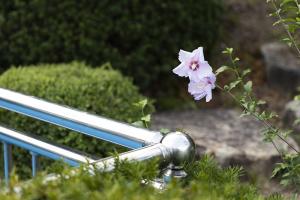  하계대성회 둘째날 둘러보기