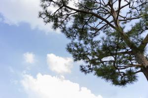  하계대성회 둘째날 둘러보기