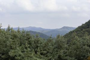  하계대성회 둘째날 둘러보기