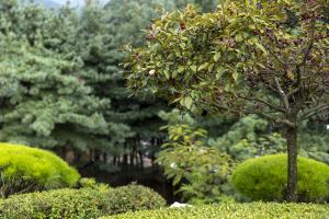  하계대성회 둘째날 둘러보기