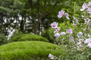  하계대성회 둘째날 둘러보기