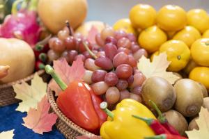  청년 2부 그루터기 선교회 추수감사주일