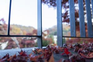  교회 가을 둘러보기