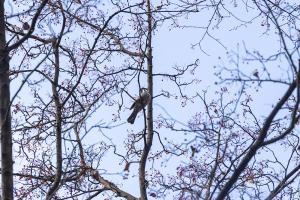  교회 가을 둘러보기