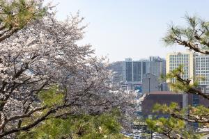  주일 3부 부활절 성찬예식