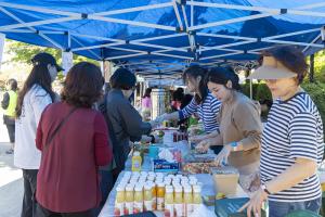 평강 어린이 꽃잔치