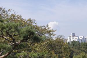 주일 2부예배 